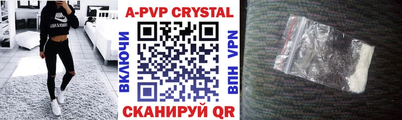 блэк спрут вход  Чекалин  Альфа ПВП СК 
